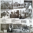 Various / Back From The Grave Volume One - LP (Used)