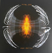 Pearl Jam / Dark Matter - 2LP