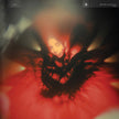 Spellling / Portrait Of My Heart - LP