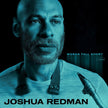 Joshua Redman / Words Fall Short - LP
