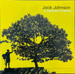 Jack Johnson / In Between Dreams - LP YELLOW