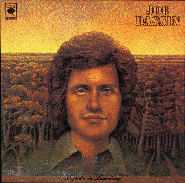 Joe Dassin ‎/ Le Jardin Du Luxembourg - LP Used