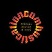 Medeski Martin & Wood / Combustication - 2LP