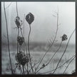 Recondite ‎/ Placid - 2LP