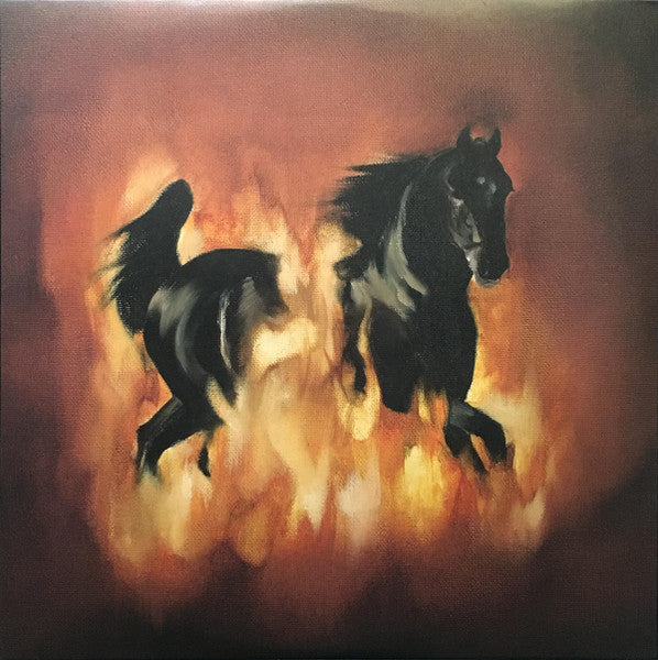 The Besnard Lakes / The Besnard Lakes Are The Dark Horse - LP