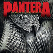 Pantera ‎/ The Great Southern Outtakes - LP