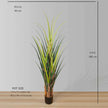 Ralu Aloe Artificial Tree Potted Plant (Multiple Sizes)