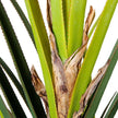 Ralu Aloe Artificial Tree Potted Plant (Multiple Sizes)