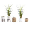 Ralu Aloe Artificial Tree Potted Plant (Multiple Sizes)