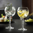 RCR - Alkemist Gin & Tonic Glass x6