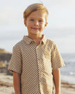 Collared Short Sleeve Shirt | Ocre Check | Rylee & Cru