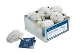 REDECKER - Pumice Stone White - 8 Pieces