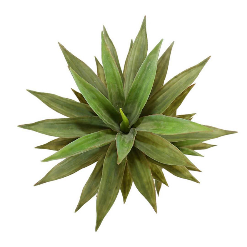 Remi Artificial Aloe Tree Potted Plant 3'