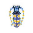 Rosalia Beetle