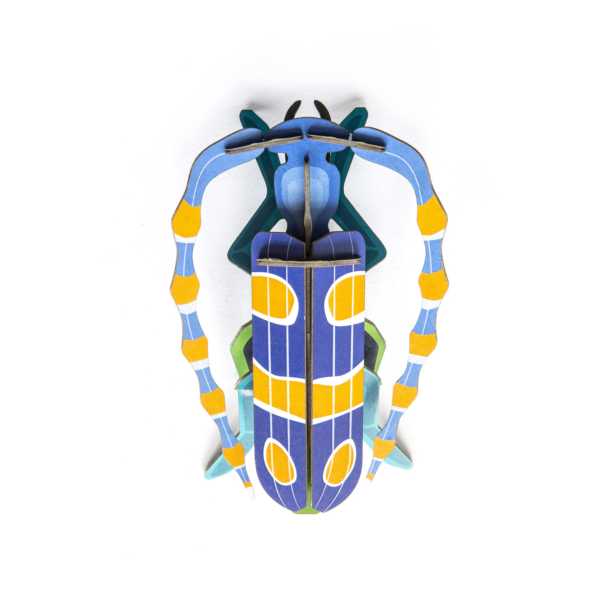 Rosalia Beetle