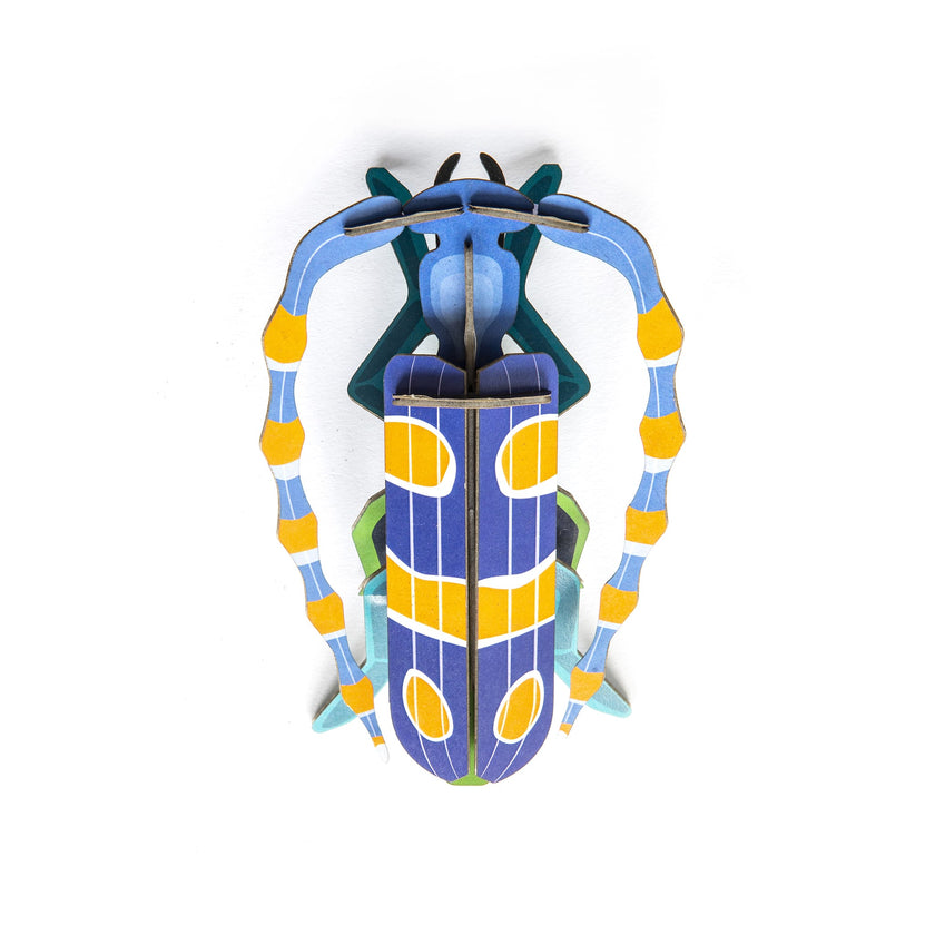 Rosalia Beetle