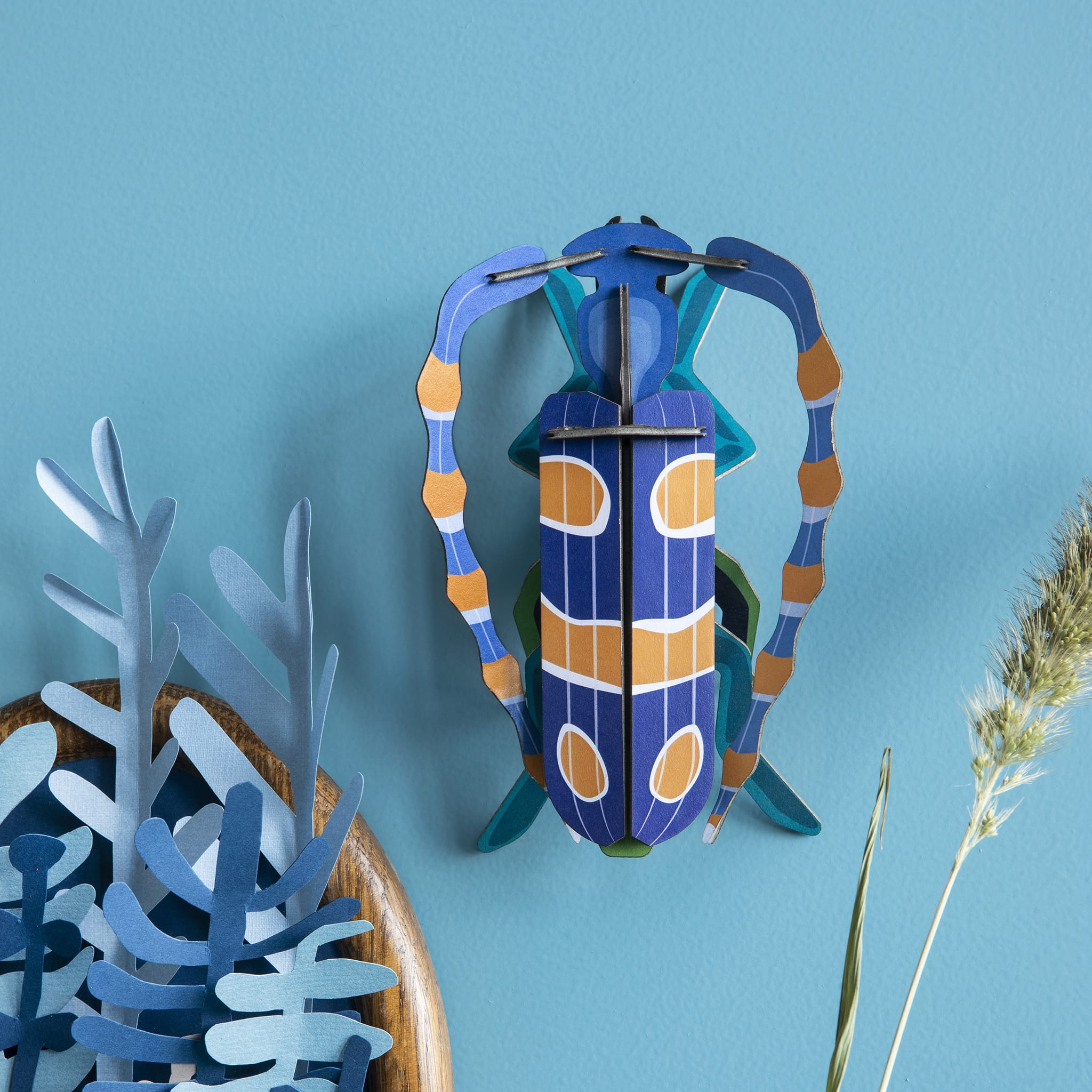 Rosalia Beetle