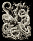 ROYAL - EGRVart Octopus