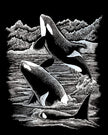 ROYAL - Baleines tueuses EGRVart