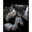 ROYAL - EGRVart Silver Horses