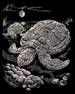 ROYAL - EGRVart Swimming Sea Turtles
