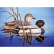 ROYAL - Large PBN Blue Water Mallards