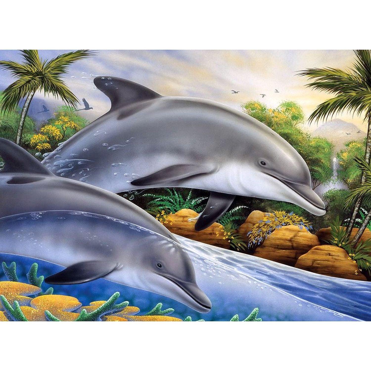 ROYAL - Large PBN Dolphin Island