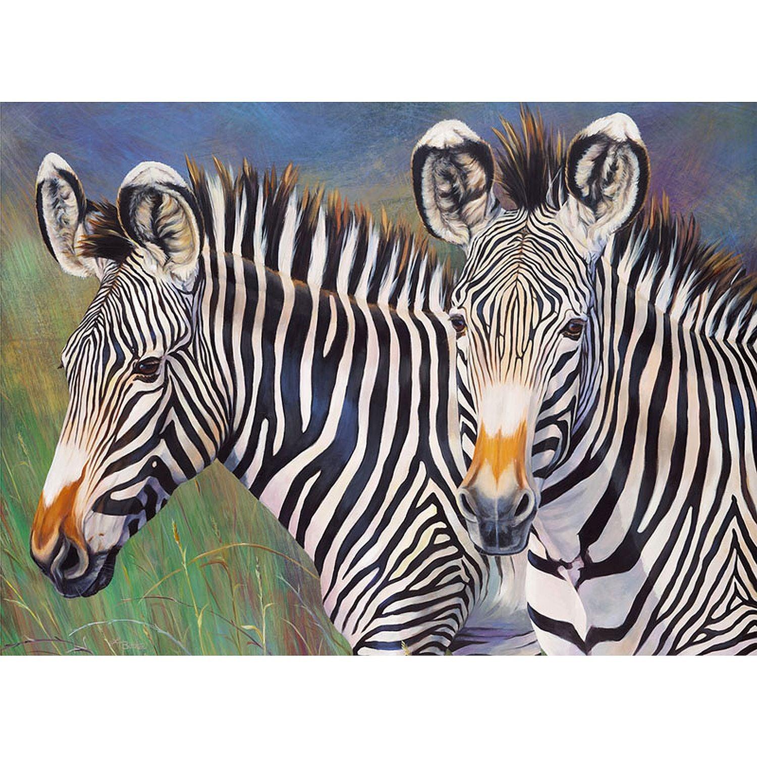 ROYAL - Large PBN Grevy's Zebra
