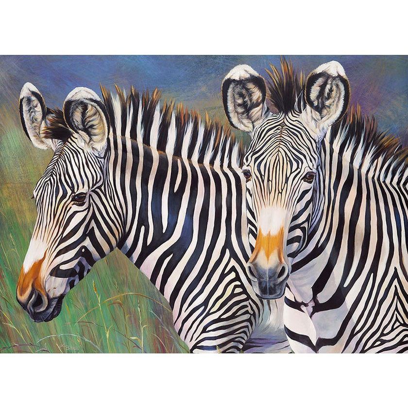 ROYAL - Large PBN Grevy's Zebra