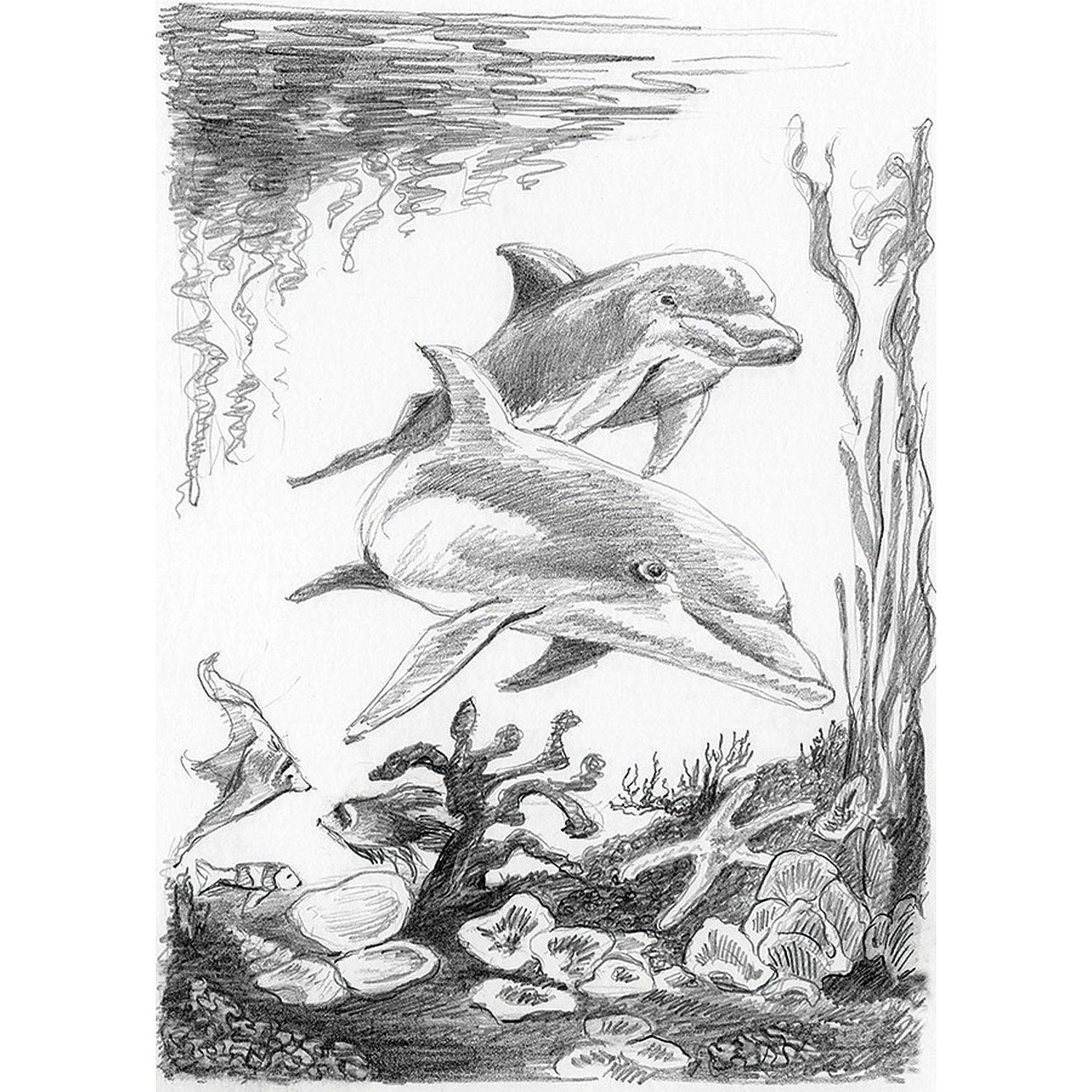 ROYAL - Mini SKBN Dolphins