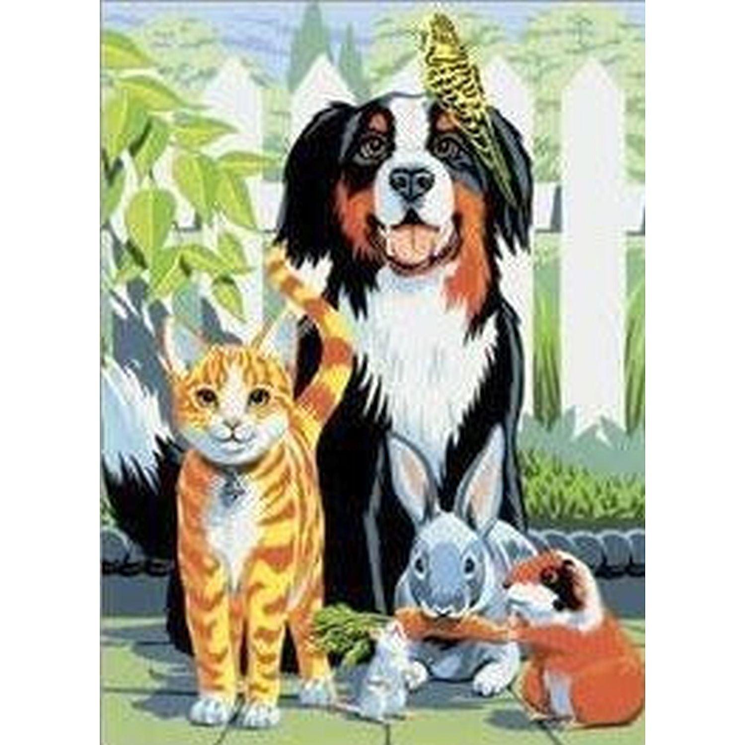 ROYAL - PBN Family Pets