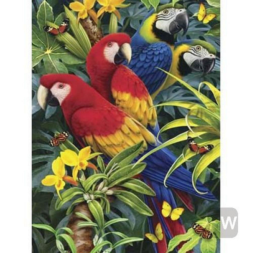 ROYAL - PBN Majestic Macaws