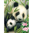 ROYAL - PBN Panda and Baby