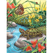 ROYAL - PBN Red Eared Slider