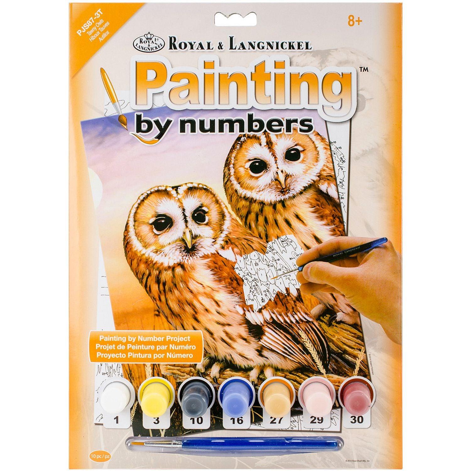 ROYAL - PBN Tawny Owls