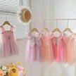 Rainbow Butterfly Wings Mesh Girl Dress