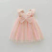 Rainbow Butterfly Wings Mesh Girl Dress