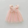 Rainbow Butterfly Wings Mesh Girl Dress