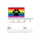 Paw Print Rainbow Flag | Collectible Pin