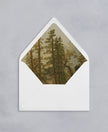 Fine Art Lined Envelopes (Woodland Collection)