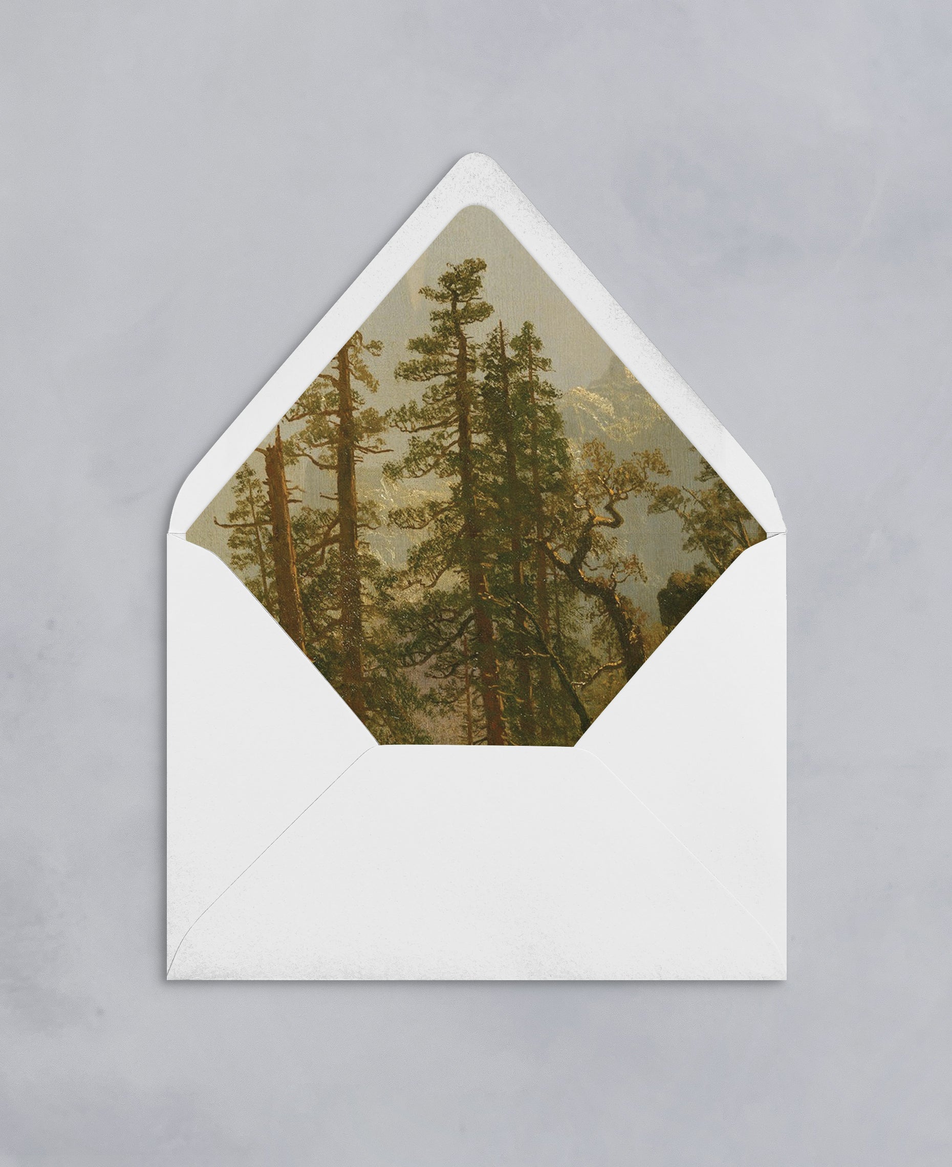 Fine Art Lined Envelopes (Woodland Collection)