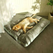 Relaxing and Removable Washable Pet Sleeping cushion