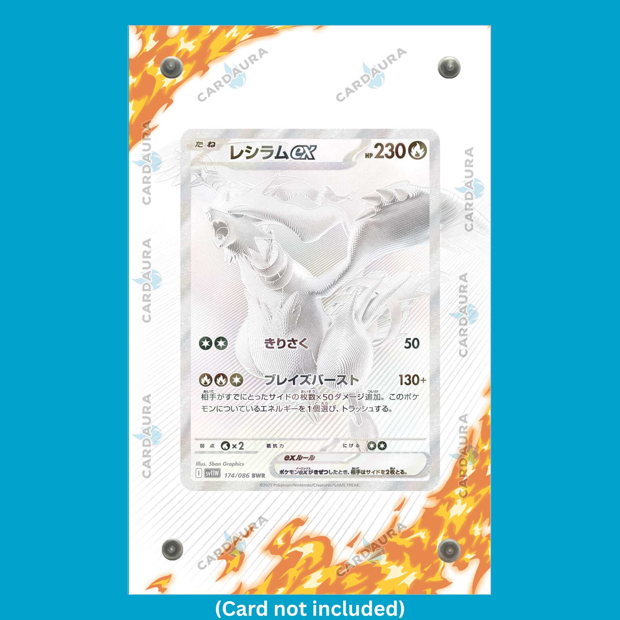 Reshiram 173/086 White Flare (Ungraded) Display Case