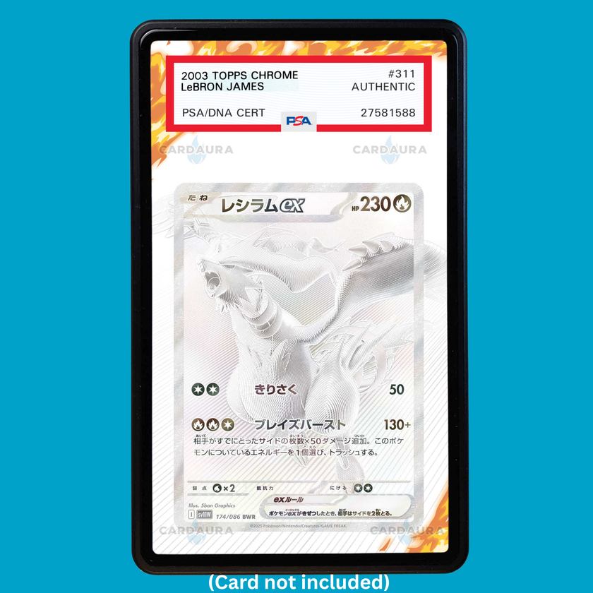 Reshiram EX 173/086 White Flare (Graded) Display Case