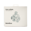 Reusable Ice Cubes