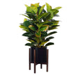 Rica - Mid-Century Modern Plant Stand With Black Planter (Multiple Sizes)