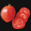 Roma/Paste Tomato Mix