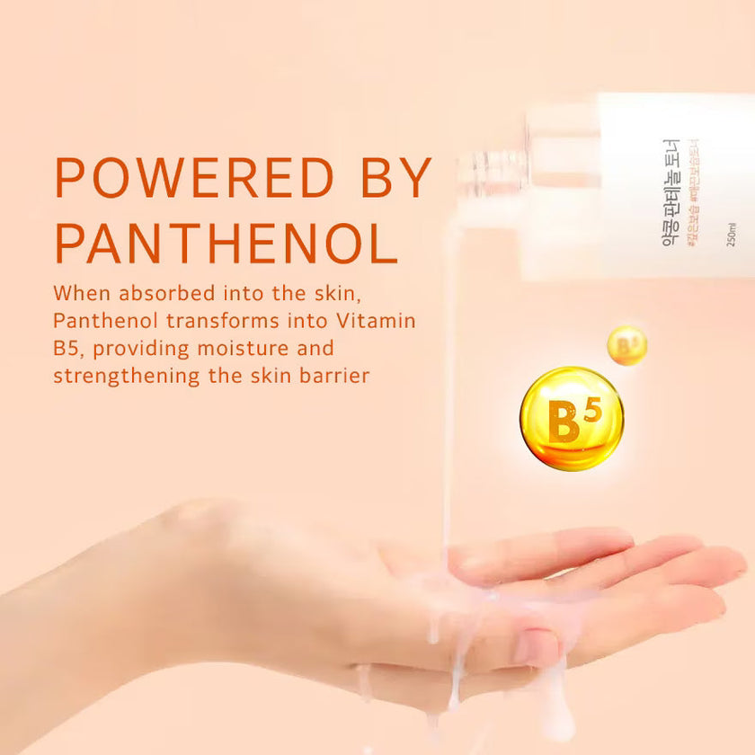 Round Lab Soybean Panthenol Toner 250ml