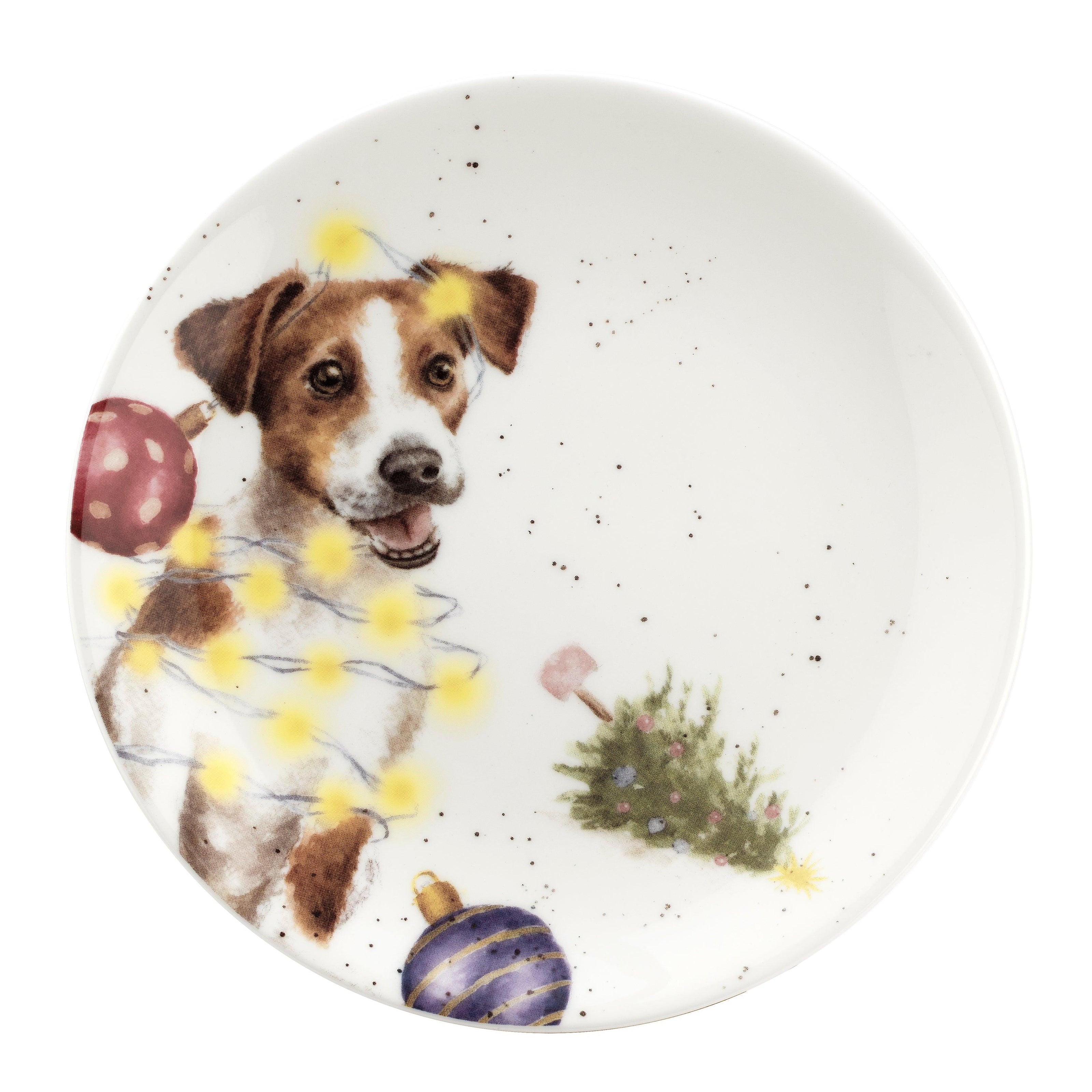 Royal Worcester - Coupe Plate 6.5
