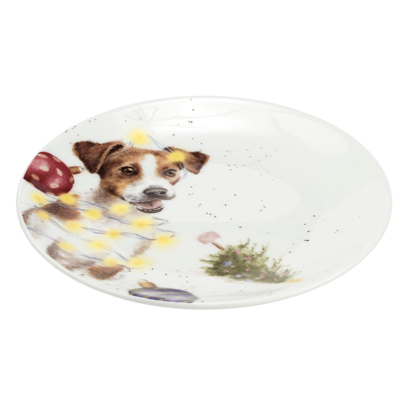 Royal Worcester - Coupe Plate 6.5